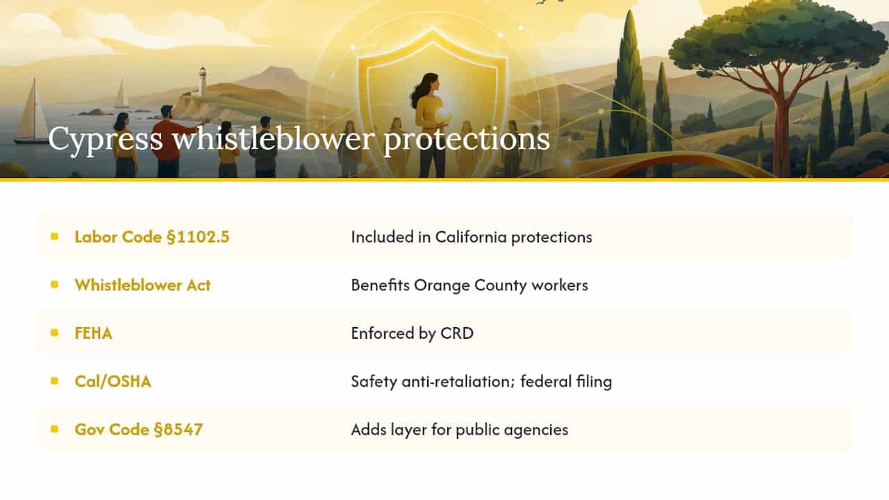 Diagram of California whistleblower law protections